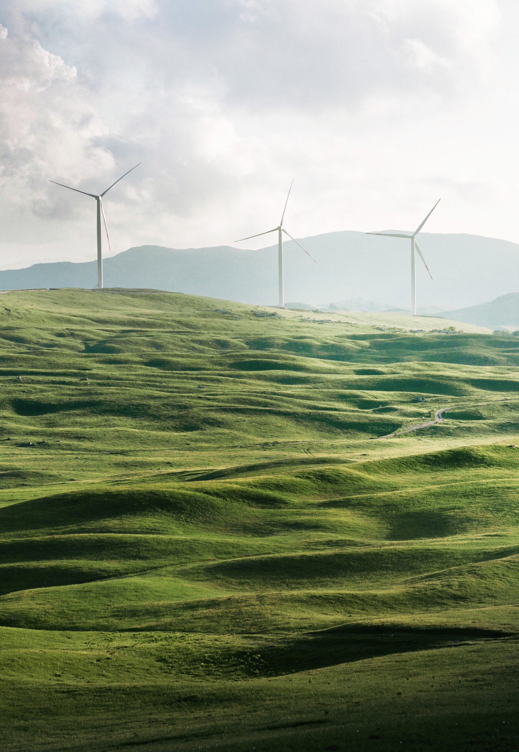 Infrastruktur und Umwelt